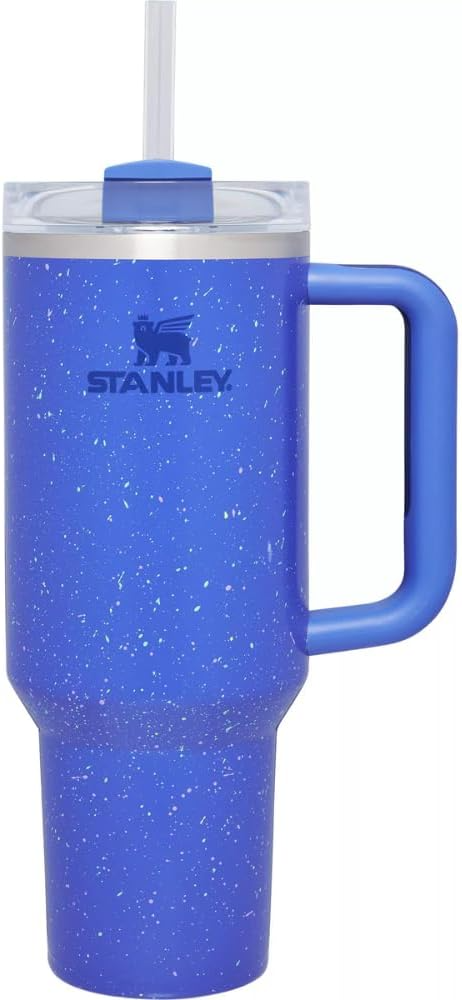 Stainless Steel Vacuum Insulated Tumbler with Lid and Straw