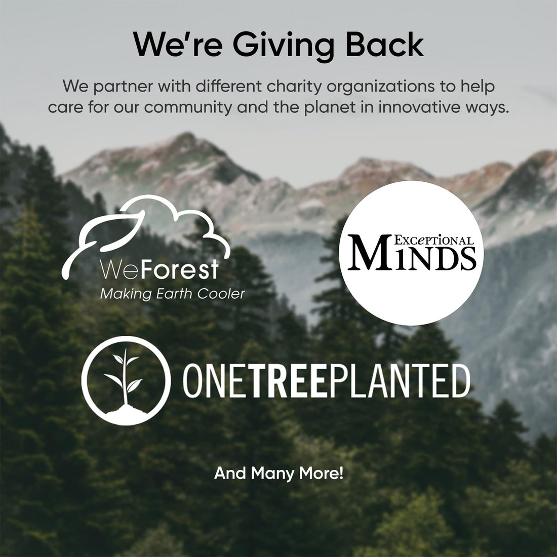 Etekcity Digital Body Weight Bathroom Scale, 400 Pounds